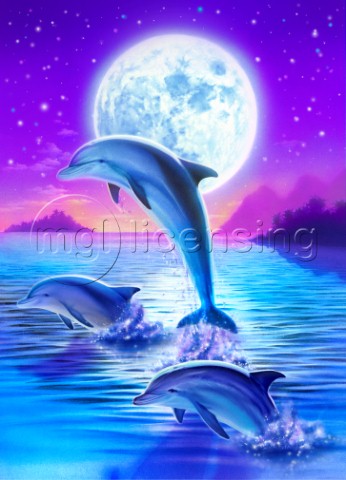 Day of the dolphin  midnight