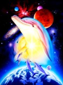 Astral dolphins