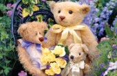 Teddys Bouquet T315