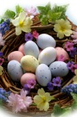 Easter Eggs in Nest EA167