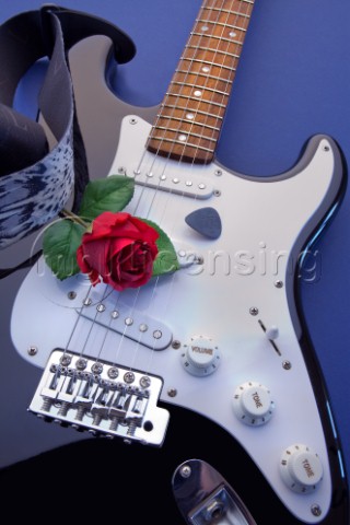 Guitar  Rose