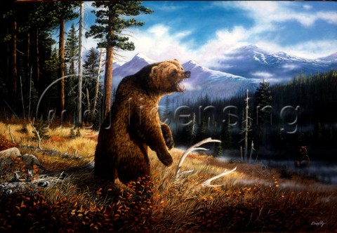 Ghost grizzly NPI 19037