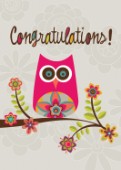 Owl Congratualtions!
