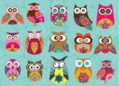 Multi Owls