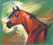 Arabian Horse (Variant 1).jpg