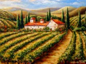 Toscana vineyard