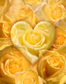 Golden Heart Of Roses