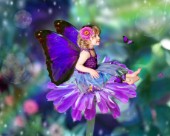 Zosha Purple Fairy