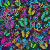 Butterfly Colored Butterfly Explosion