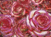 Red Roses Paintings