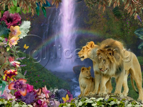 Lion Family Paradise