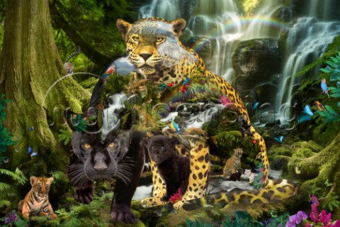 Shaped image of Black panther Jaguars cubs white tiger waterfalls mountains jungle