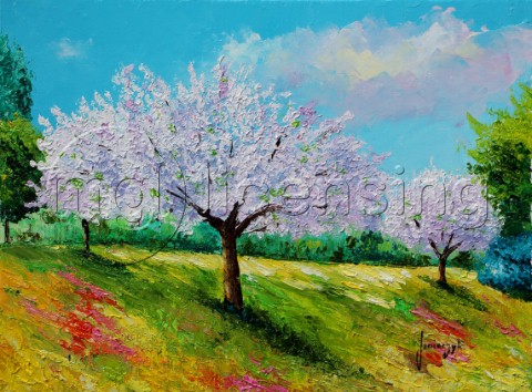 Orchard blossom