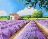 House with blue shutters in Provence