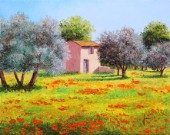 House Among Olive Trees