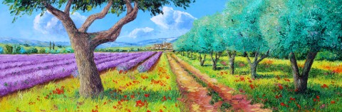 Olive Trees and Lavender