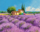 Humble lavender farm