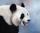 Giant panda painted in oil paints