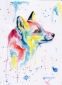 Multicolour Fox