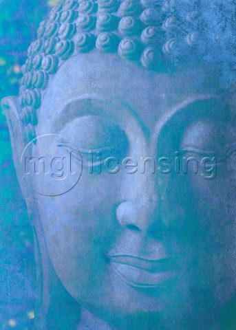blue buddha squared
