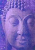 purple buddha squared