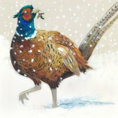 Festive Pheasant