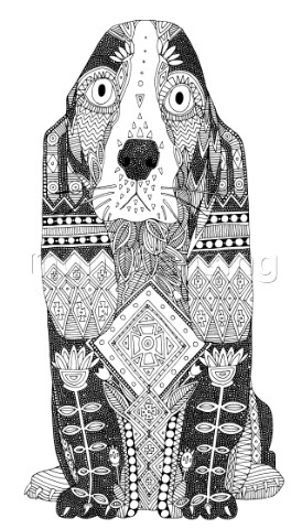 illustrated Basset Hound  black and white outline
