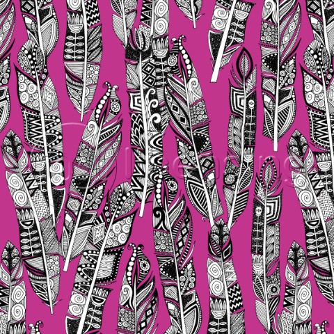 illustrated feather graphic  also available as a repeating pattern