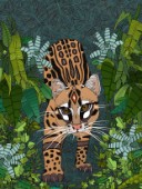 ocelot jungle nightshade 3 4