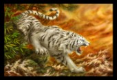 White Tiger of the West