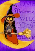 Witch Owl Welcome