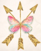 Butterfly Arrows
