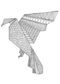 Neeti-Origami1