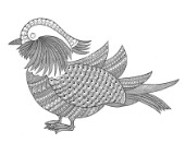 Neeti-Bird-Mandarian Duck