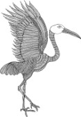 Neeti-Bird-Crane