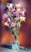 vase of iris cps222