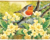 Robin Candles Spring