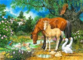 Foal and Mare by the Stream