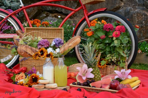 1662Red BicyclePicnic