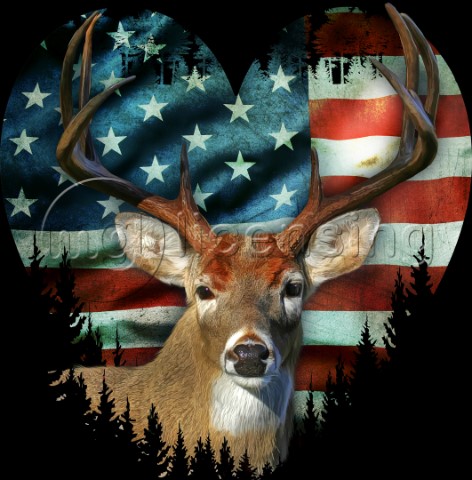 USA Stag variant 1