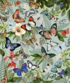 Archive Butterfly_Mint
